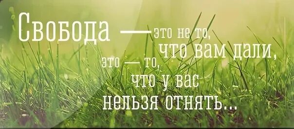 Фразы о свободе выбора. Афоризмы про свободу. Свобода мотиватор. Свобода личности. Включи не свобода.
