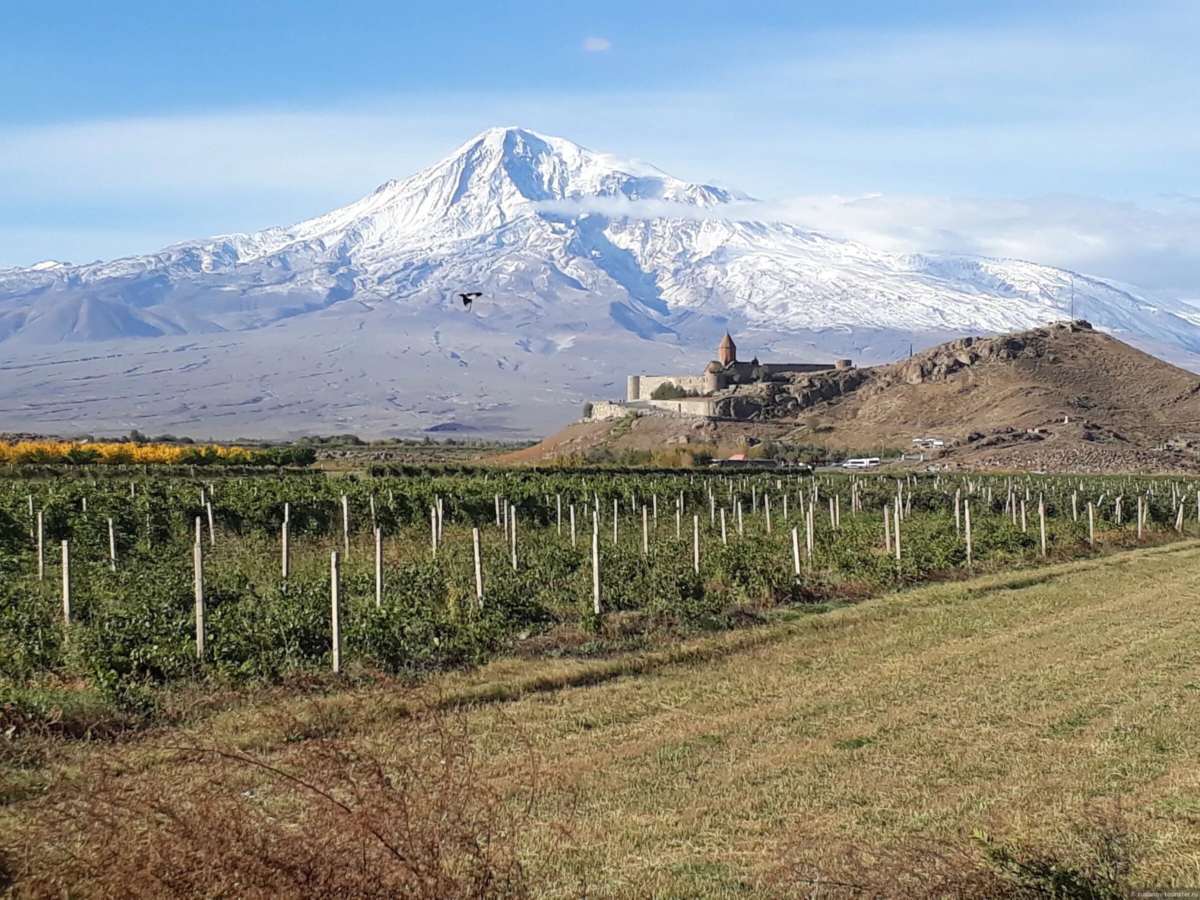 Арарат (село). Армения Арарат. Деревня Арарат в Армении. Арарат зод. Арарат находится в армении