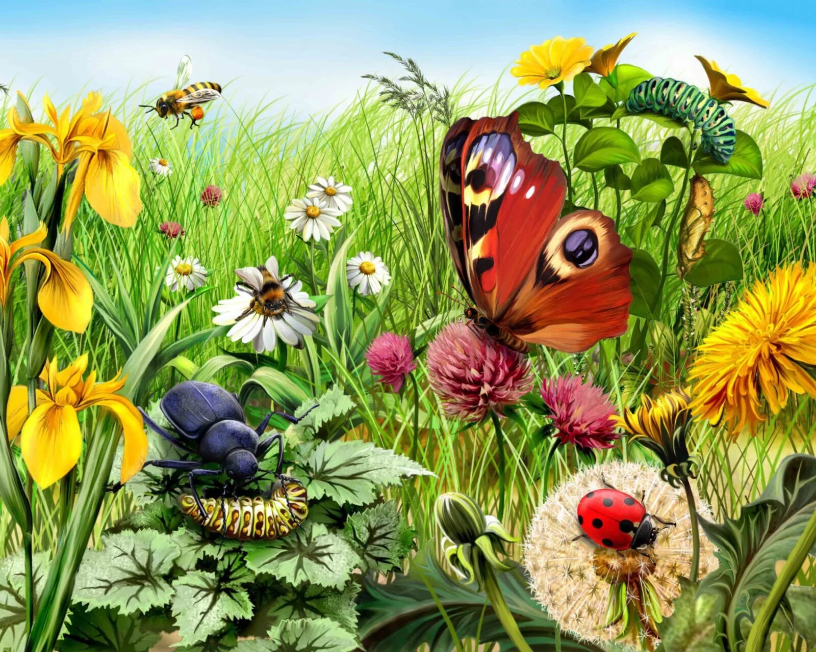 элизиум станция будущего. ссср 2061 алиса селезнева арт. до будущего лета 3. до будущего лета стих. стихотворение до будущего лета тим собакин.