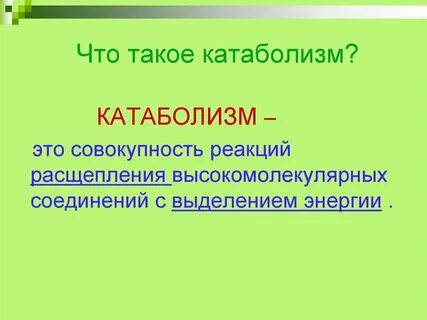 Совокупность реакций обеспечивающих организм веществами и энергией
