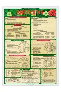 Что надо для огэ по биологии