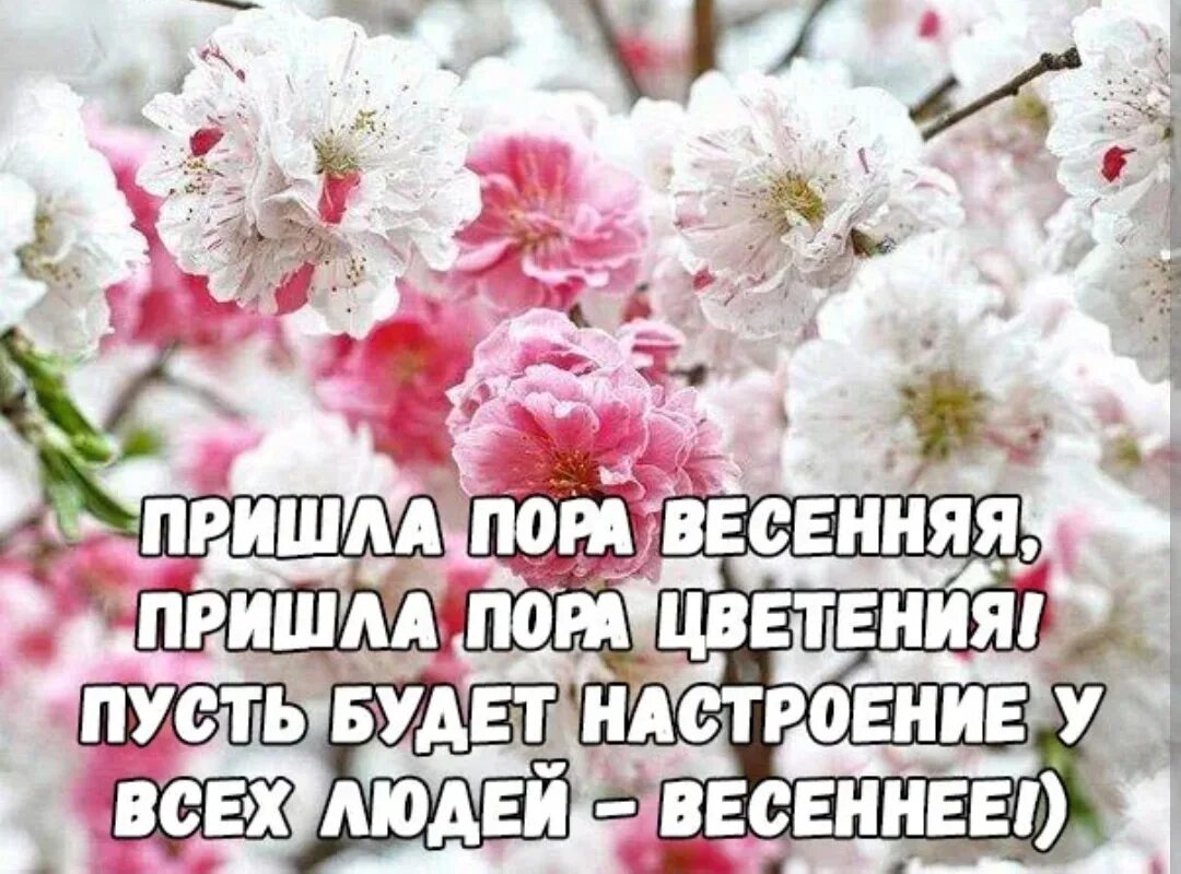 Про жизнь и весну. Цитаты про весну. Весенние цитаты. Высказывания о весне.