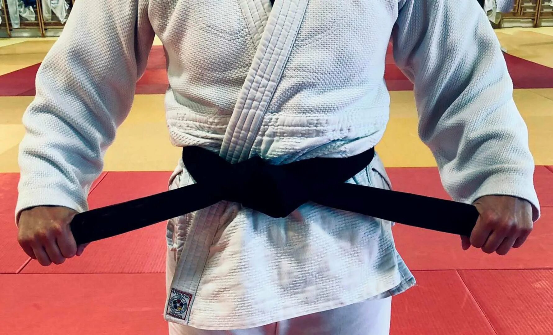 Коричневый пояс дзюдо ijf. Пояс дзюдоиста. Пояс дзюдоиста 3. Пурпурный пояс в дзюдо. Пояс каратиста.