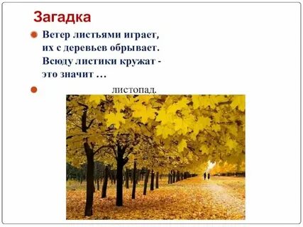 Листики повсюду осенью летят и ковром волшебным