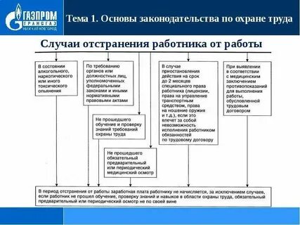 Основы социально трудового законодательства