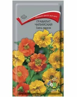 Гравилат чилийский семена