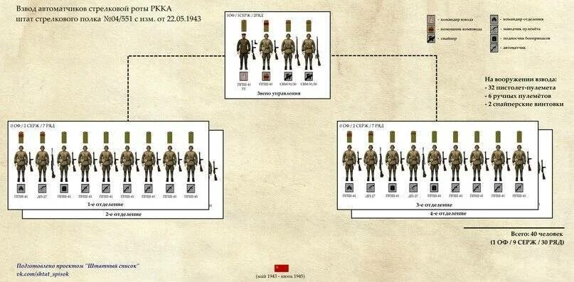 Структура пехотного батальона РККА 1941. Штатная структура стрелкового полка РККА В 1943. Структура Стрелковой роты РККА 1941. Стрелковый полк РККА штат 1941 год.