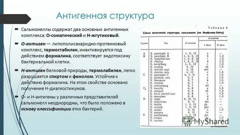 Антигенная структура сальмонелл