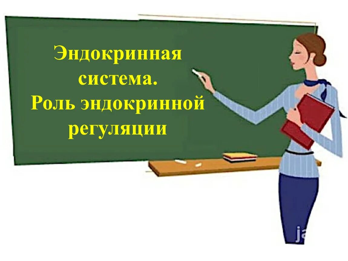 Первым уроком был русский. Шутки про учителей. Педагог картинки для презентации. Учитель картинка. Требуется учитель.