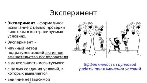 Что такое научный эксперимент с какой