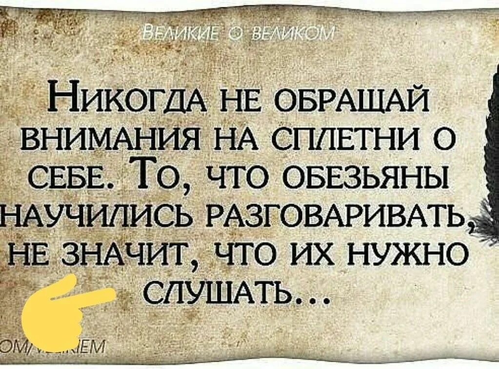 Бывшая стала жить хуже. Высказывания про сплетников. Статусы про сплетников. Цитаты про сплетни. Картинки с Цитатами.