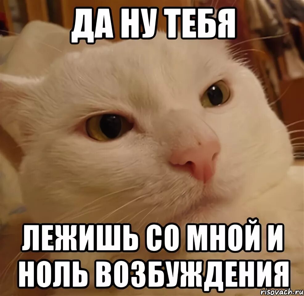 Да ну тебя. Да ну тебя Мем. Да ну тебя картинка. Ну да я Мем. Твоя сука со мной