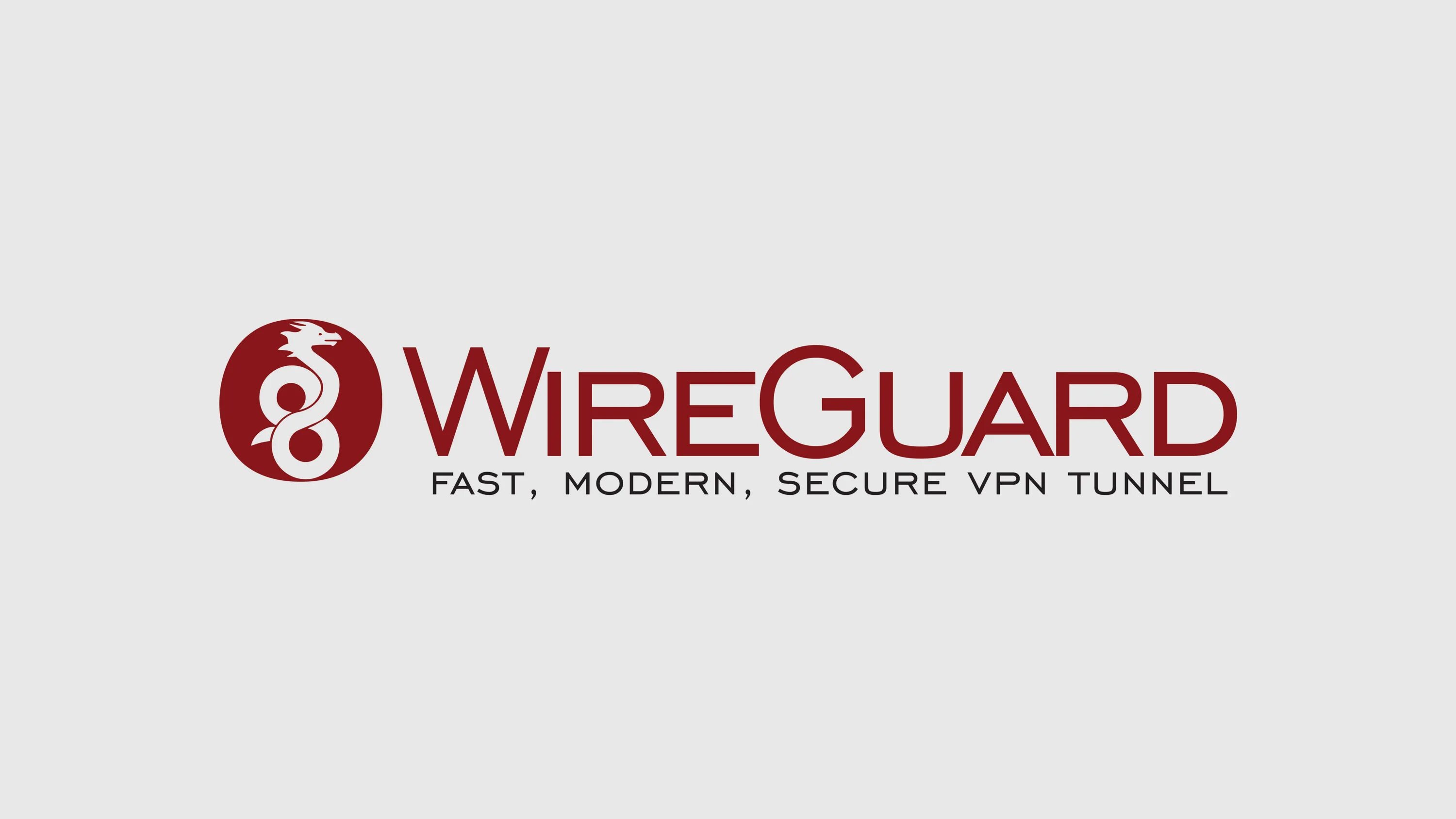 WIREGUARD. WIREGUARD туннели. WIREGUARD logo. WIREGUARD VPN.