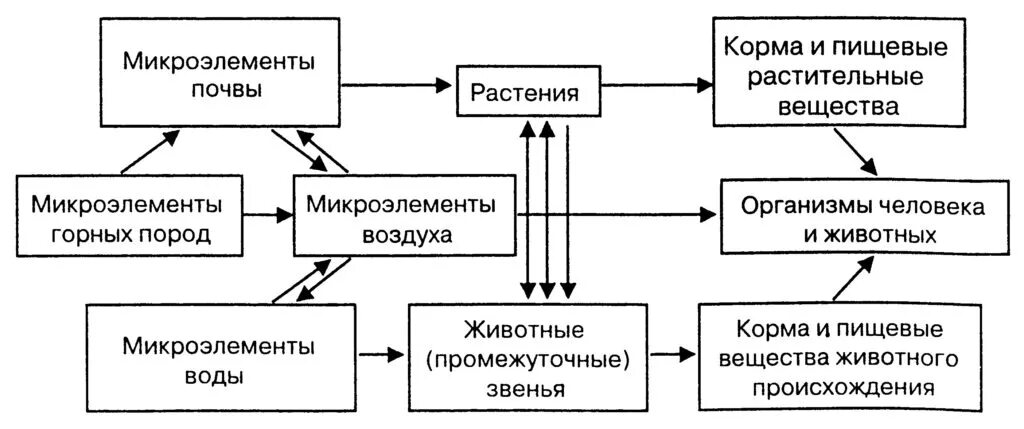 Функции микро. Круговорот микроэлементов в природе. Круговороты макро- и- микроэлементов. Роль микроэлементов в организме. Схема пищевые компоненты микроэлементы.