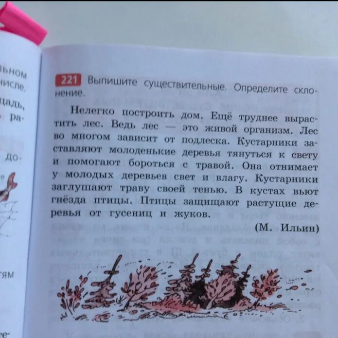 Выпиши существительные 2 группы 1. Выпиши существительные 2 класс. Выпишите существительные с помощью которых. Текст выпиши существительные.