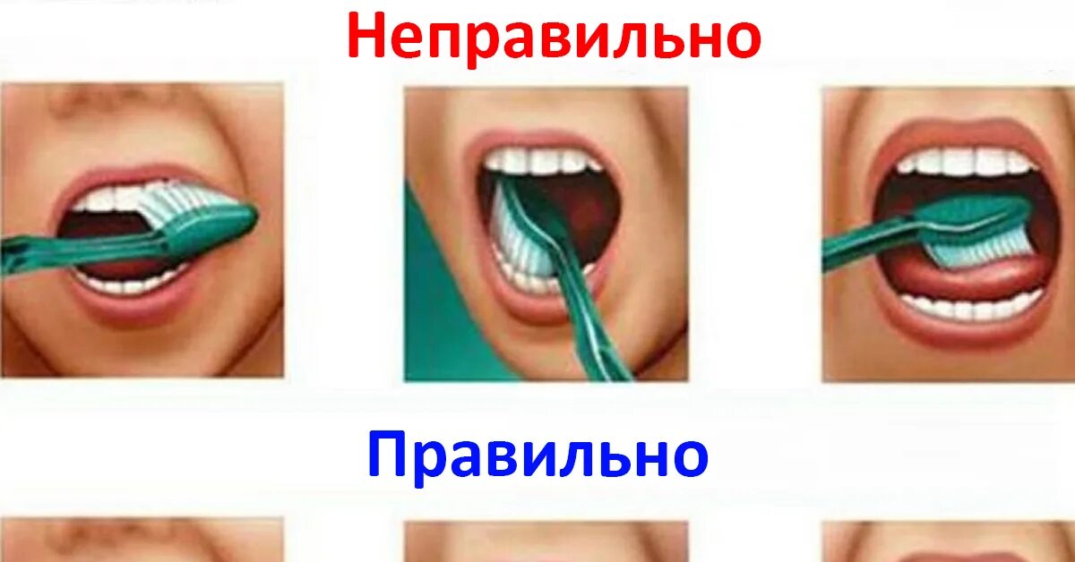 Чистить зубы на английском