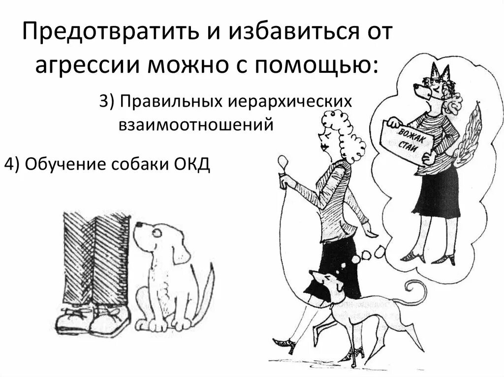 Как избавиться от агрессии. Территориальная агрессия. территориальная агрессия пример человека. избавление от агрессии. методы избавления от агрессии.