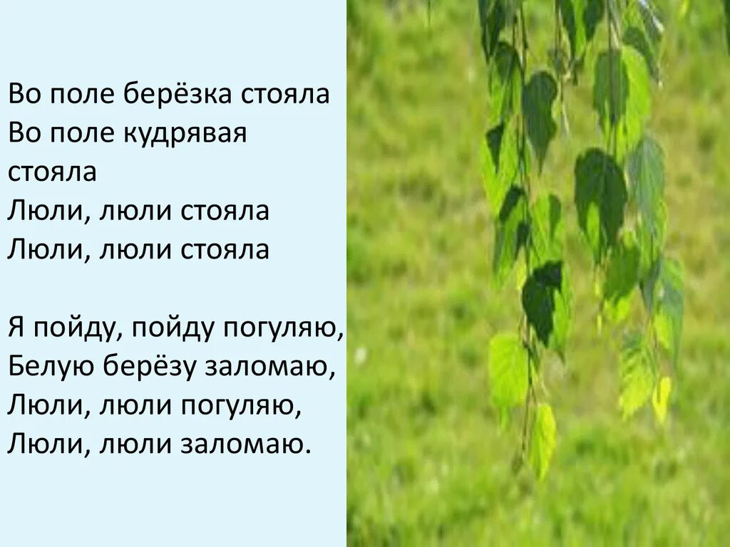 Песня вополи березка. Люли люли Березка. Во поле береза стояла. Во поле березонька. Березка в поле.