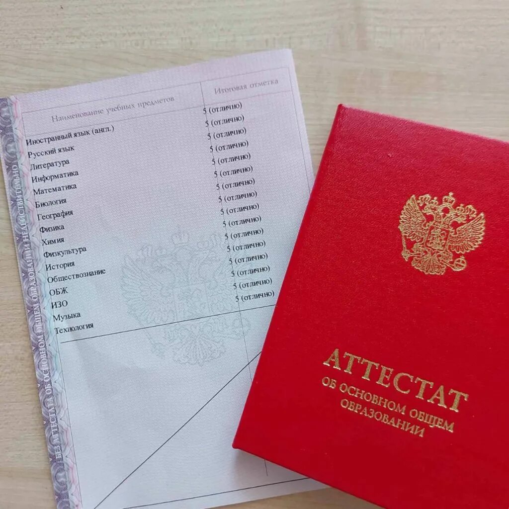 После окончания 11 класса какое образование получает. После окончания 11 класса какое образование получает