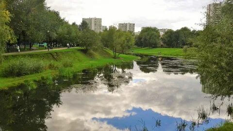 Река на территории москвы
