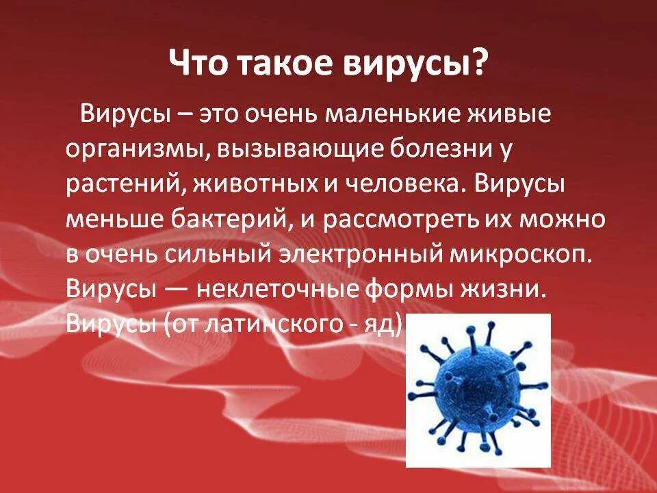 Бактерии и вирусы 5 класс биология презентация. Вирус. Вирусы презентация. Проект про вирусы. Вирусы доклад.