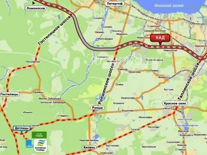Ломоносов гостилицы автобус