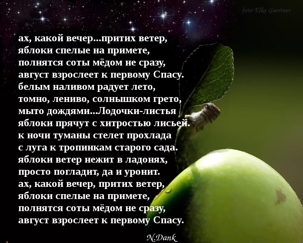 Стихи про август. Стихи про август красивые. Стихи на аву. Красивое четверостишие про август. Текст коротка августовская ночь