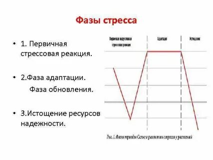 Стрессовая ситуация на бирже