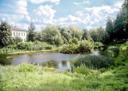 Прогноз на неделю рязанская область