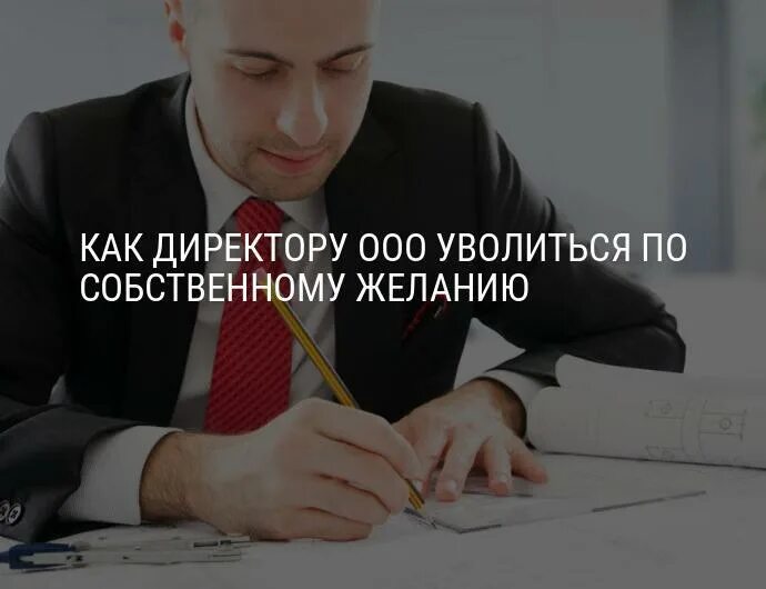 Новый директор увольняет. Уволить директора. Когда уволился начальник. Директор увольняется. Как можно директора школы уволить.