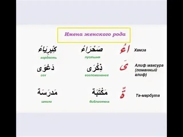 Арабские слова для начинающих. Та марбута в арабском языке. Арабский текст для начинающих. Огласовки в арабском языке.