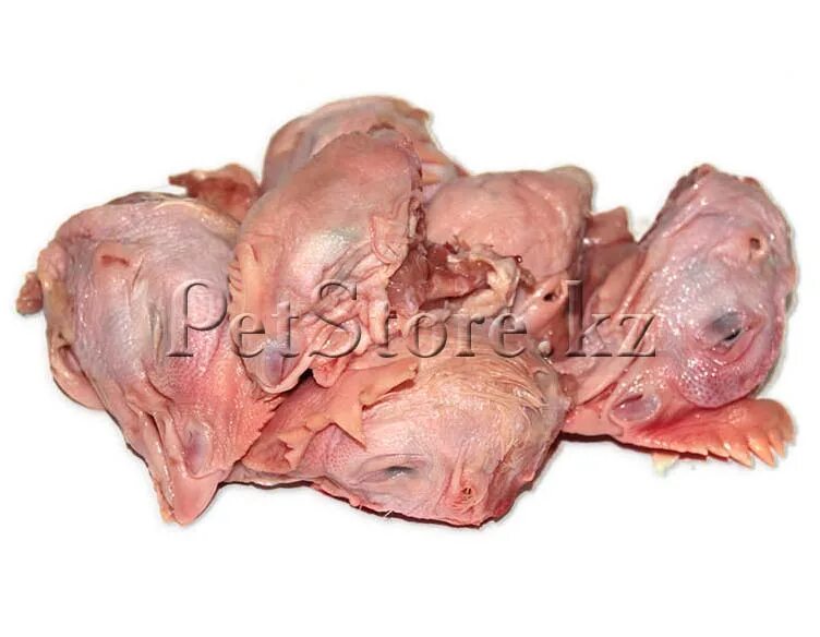 Головы куриные в пакете куриное царство. Натуральное кормление кошек. Куриные головы котам. Куриные головы котам. Состав куриной головы для кошек.