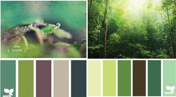 Сочетания цветов с холодным зеленым Pin by Franser on Цветовые сочетания Good color combinations, Color schemes, Col