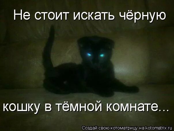 Ищу черную кошку. Не ищите черную кошку в черной комнате. Искать черную кошку в темной комнате. Искать черную кошку в черной комнате. Кошка в темной комнате.