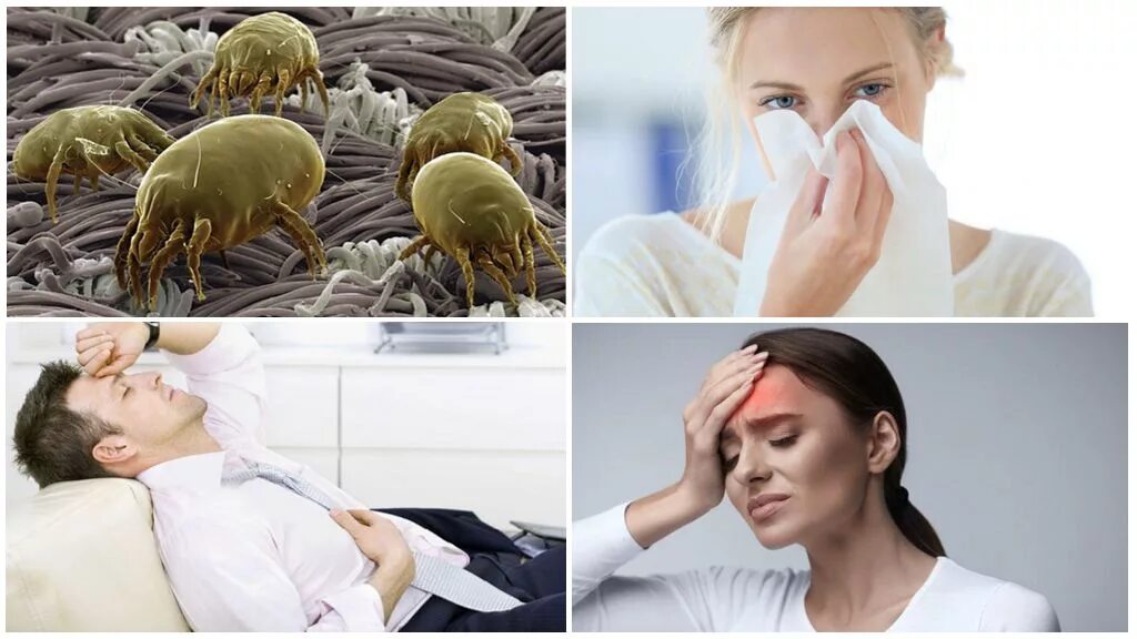 Клещи в подушках - признаки, как избавиться, методы и препараты