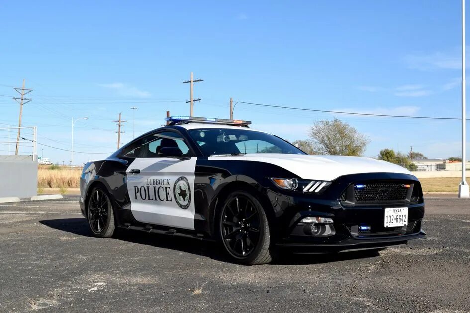 Полицейский мустанг. Форд Мустанг полиция. Ford Mustang Police Interceptor. Форд Мустанг американская полиция. Ford Mustang gt 2006 Police.