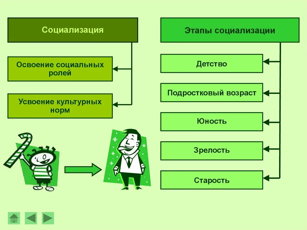 И на данном этапе социальная. Фазы социализации Обществознание 8 класс. Этапы социализации. Этапы социализации личности. Освоение социальных ролей.