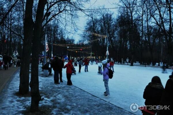 Каток сокольники до какого числа. Парк Сокольники каток гигант. Каток Сокольники, Москва гигант. Каток «лёд» в парке Сокольники, Москва. Парк культуры каток Сокольники.