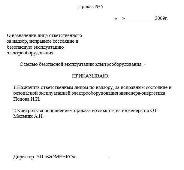 Приказ о назначении ответственного бланк