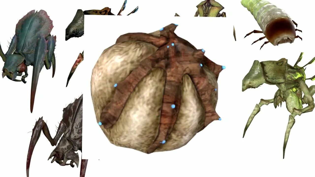 Муравьиный лев халф лайф. Муравьиный лев страж халф лайф 2. Half life 2 страж муравьиных львов. Львиный муравей half life 2. Муравьиные львы half life 2.