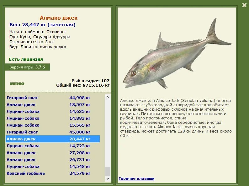где водится масляная. где водится масляная. масляная рыба описание. масляная рыба живая. рыба маслянка где обитает?.