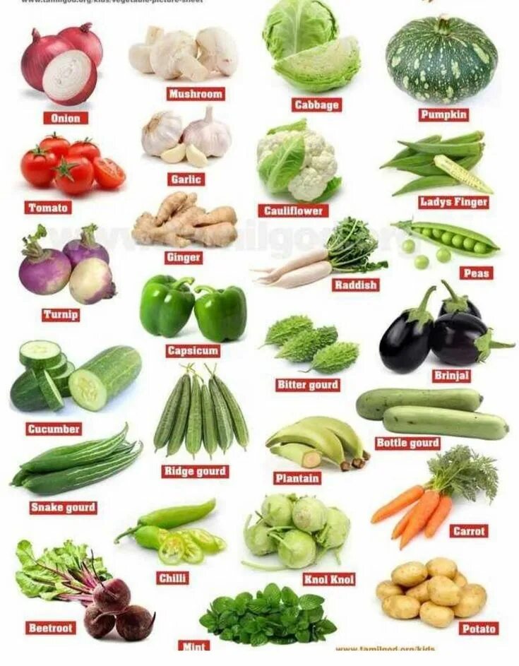 Vegetables list. Овощи названия. English овощи. Разновидности овощей на английском. Овощи всех видов.