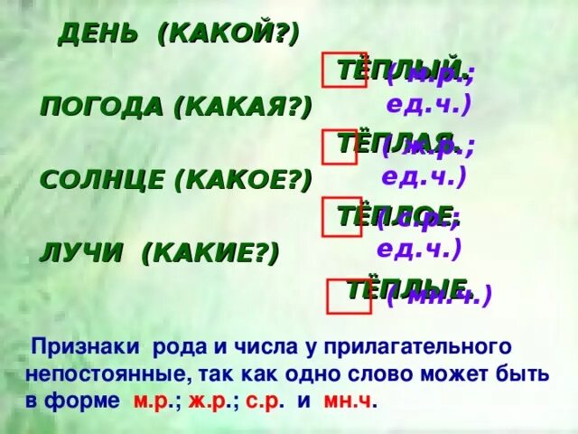 Род слова луч. Солнце какой род. Теплые лучи какой род прилагательного. Прилагательное изменение по родам и числам. Теплая какой род.