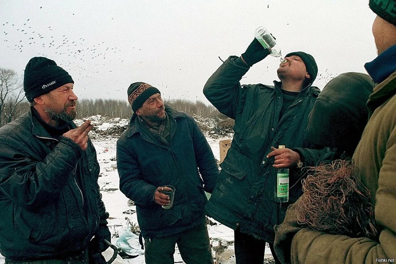 Сели пили. Сели пили