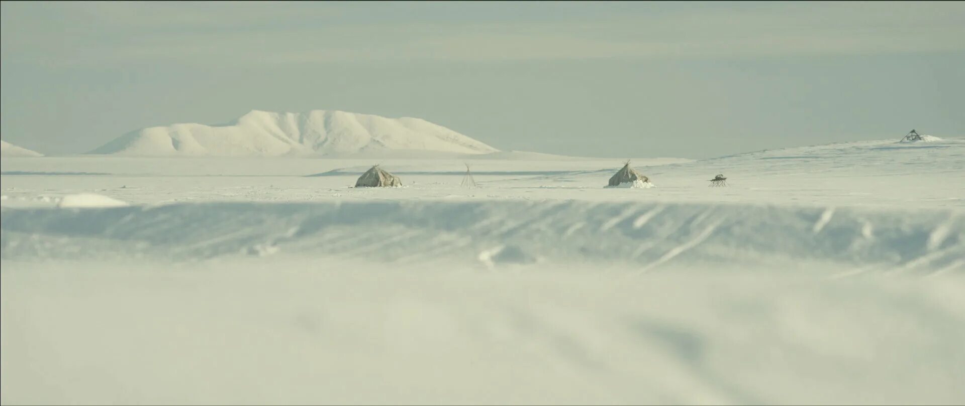 Бухта роджерса. Полярная станция остров врангеля. бухта роджерса остров врангеля. бухта роджерса на карте. бухта роджерса где находится фото.