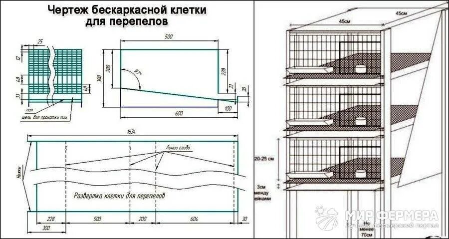 Клетка для перепелов Размеры чертеж. Клетка для перепелов чертеж сетка. Чертеж клетка Брудер для перепелов. Клетки для перепелов своими руками Размеры и чертежи.