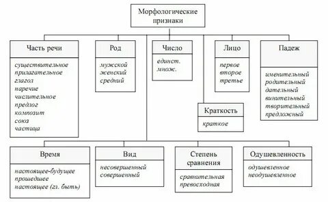 Круглый морфологический