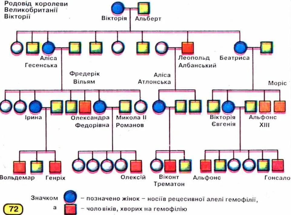 Родословная биология 11 класс. Генограмма рода. Генограмма 7 поколений рода. Генограмма - родовое дерево. Схема генограмма рода.