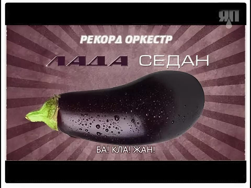Песня цветам баклажан. Песня цветам баклажан. Песня цветам баклажан. Тимати и рекорд оркестр баклажан. Песня цветам баклажан.