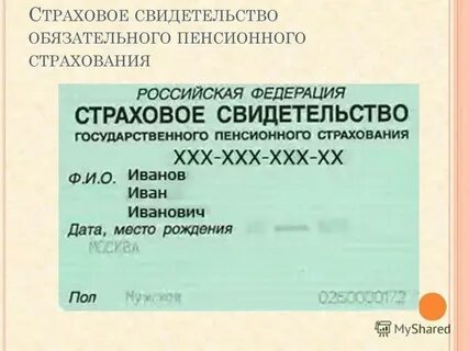 Как узнать дату рождения по снилс